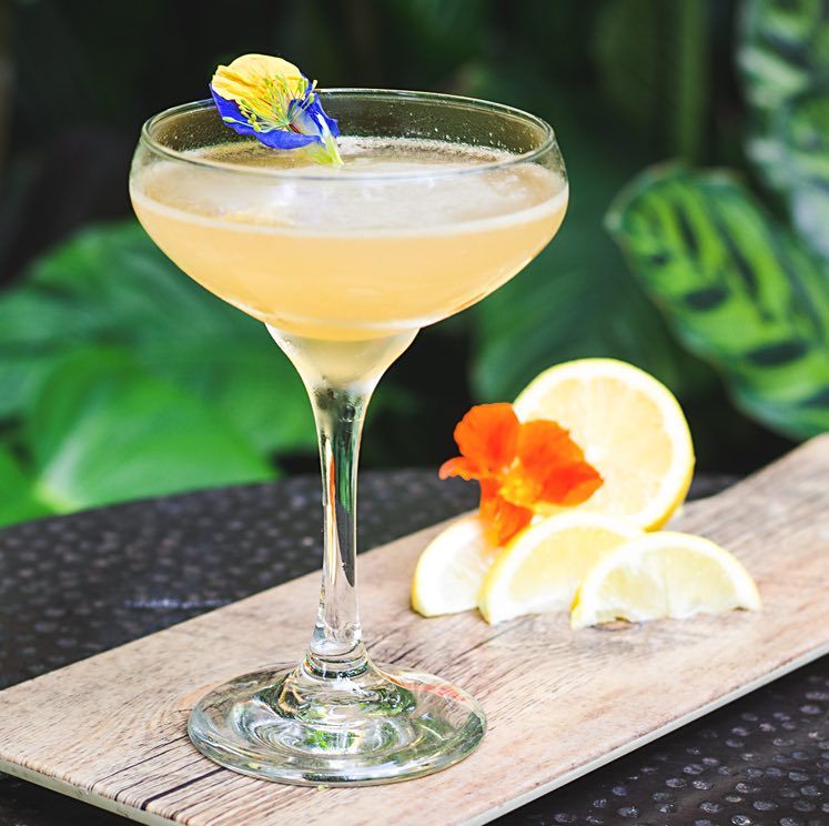 cocktail drink