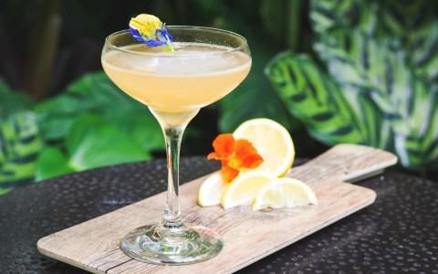 garnished cocktail
