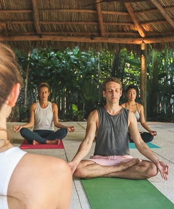 people meditating in garden