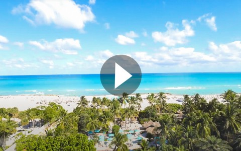 palms hotel oceanfront Video