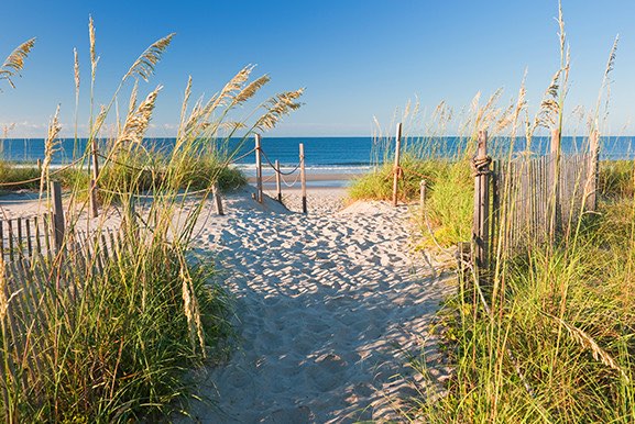 Sand path leading to beach with tall grass on either side