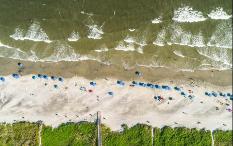 aerial view of the beach on isle of palms