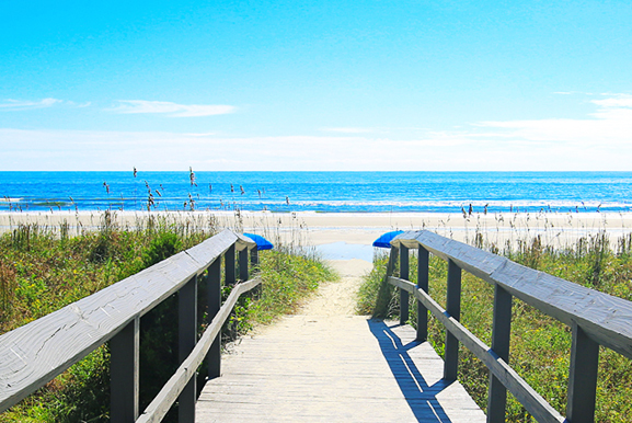 the palms offers stayandplay