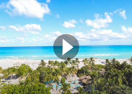 palmshotel oceanfront video