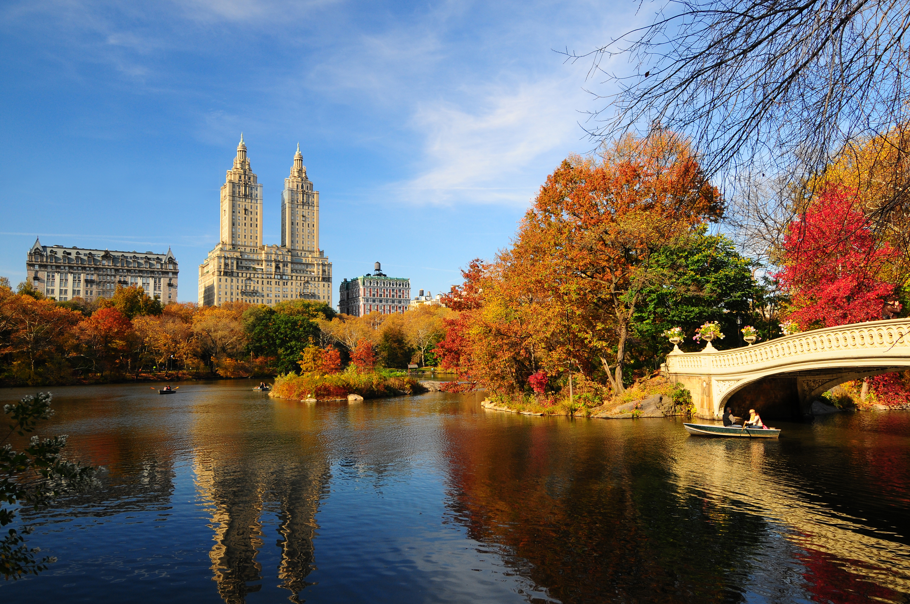an image of fall foliage in central park nyc