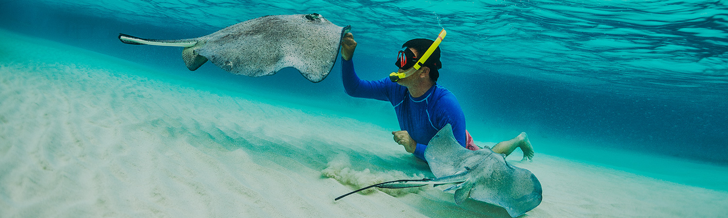 Man scuba diving under water with sting rays