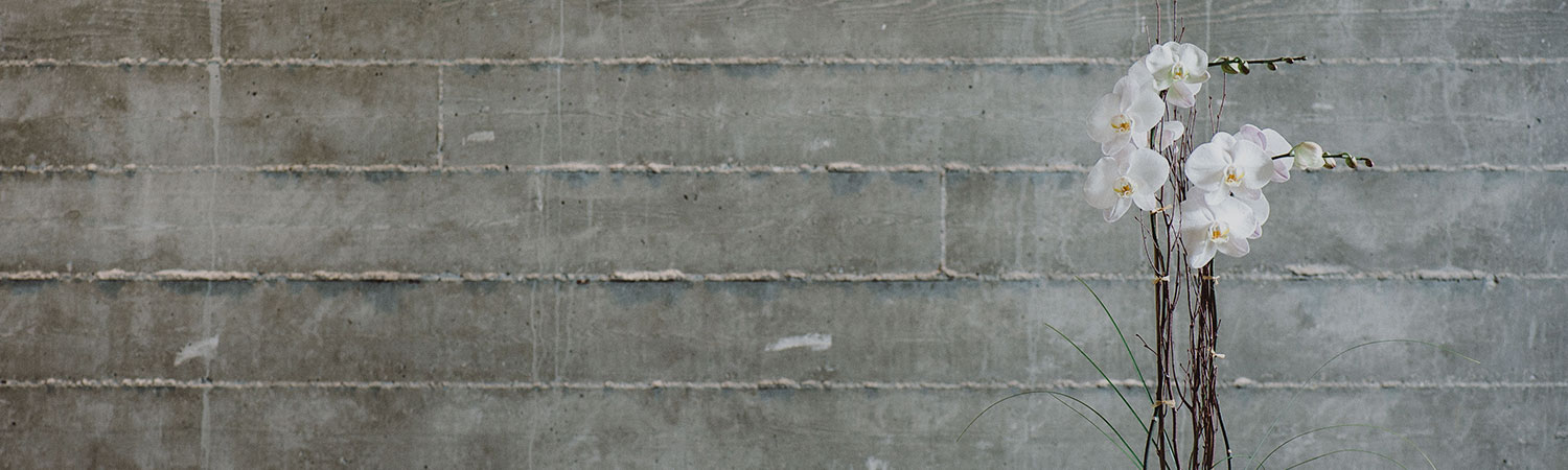 Close up of grey brick textured wall with white orchid in front of it