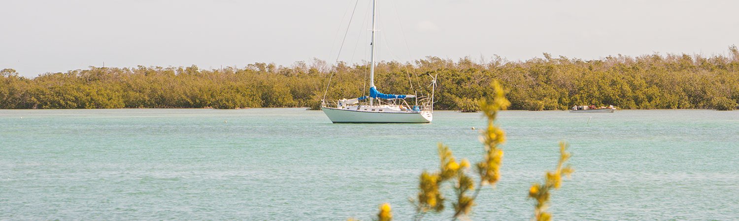 White sailboat on water with greenery in the back