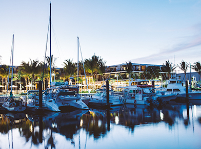 Boats docked at marina