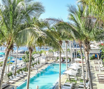 aerial image of the pool with lounge chairs and palm trees surrounding the pool