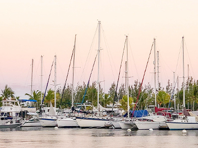 Boats docked at marina
