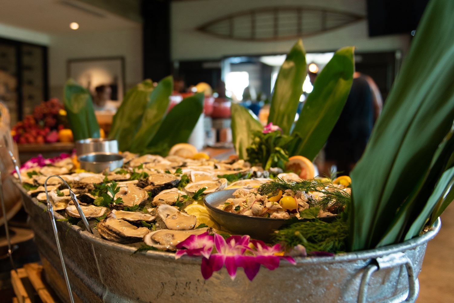 raw bar filled with oysters