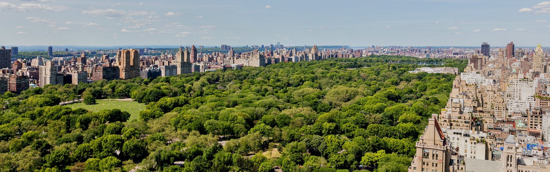 Aerial view of city and central park