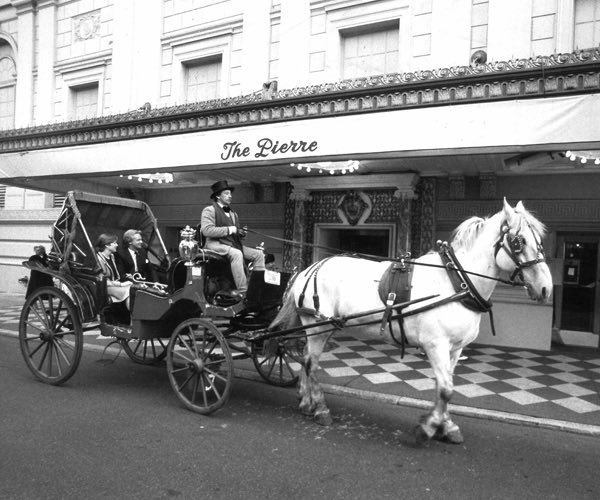 White horse pulling carriage in front of hotel
