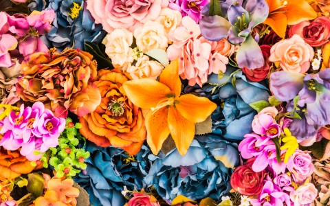 colorful silk flowers