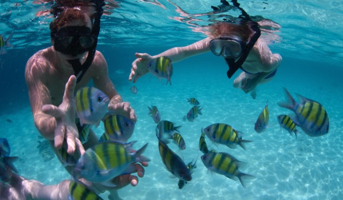 Snorkel Myrtle Beach The Best Beaches In World Snorkeling In Myrtle Beach South Carolina The Best Beaches