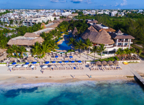 The Reef Coco Beach Contact Riviera Maya Resorts The Reef Coco Beach Región 6 Calle Flamingo Lt 1 Mz 7 Luis Donaldo Colosio 77710 Playa Del Carmen Q R
