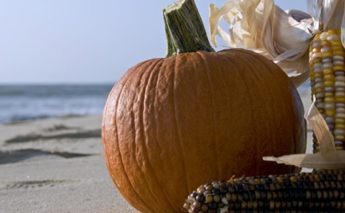 Close up of a pumpkin and corn husk on the beach