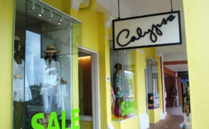 Shopping-Summer-Necessities-56320a8715440.jpg