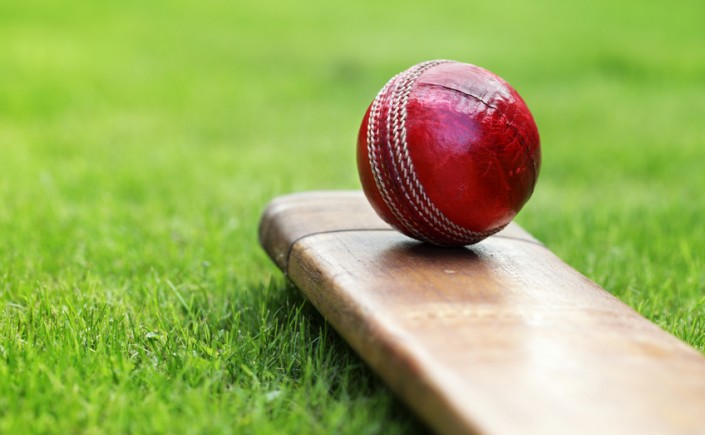 Red cricket ball and bat on grass