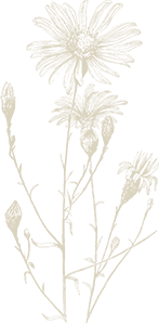 Flower Decoration