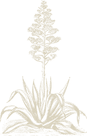 Flower Decoration