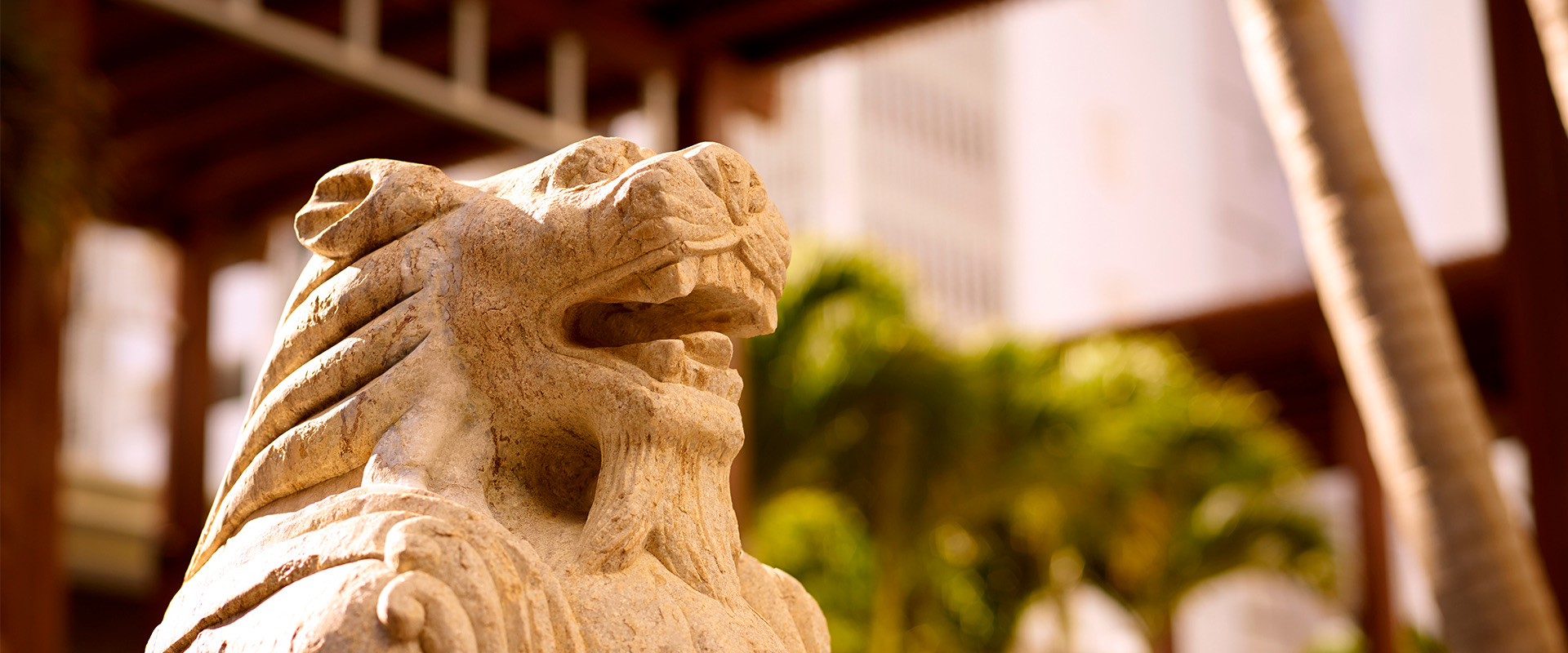 close up of a lion statue outside