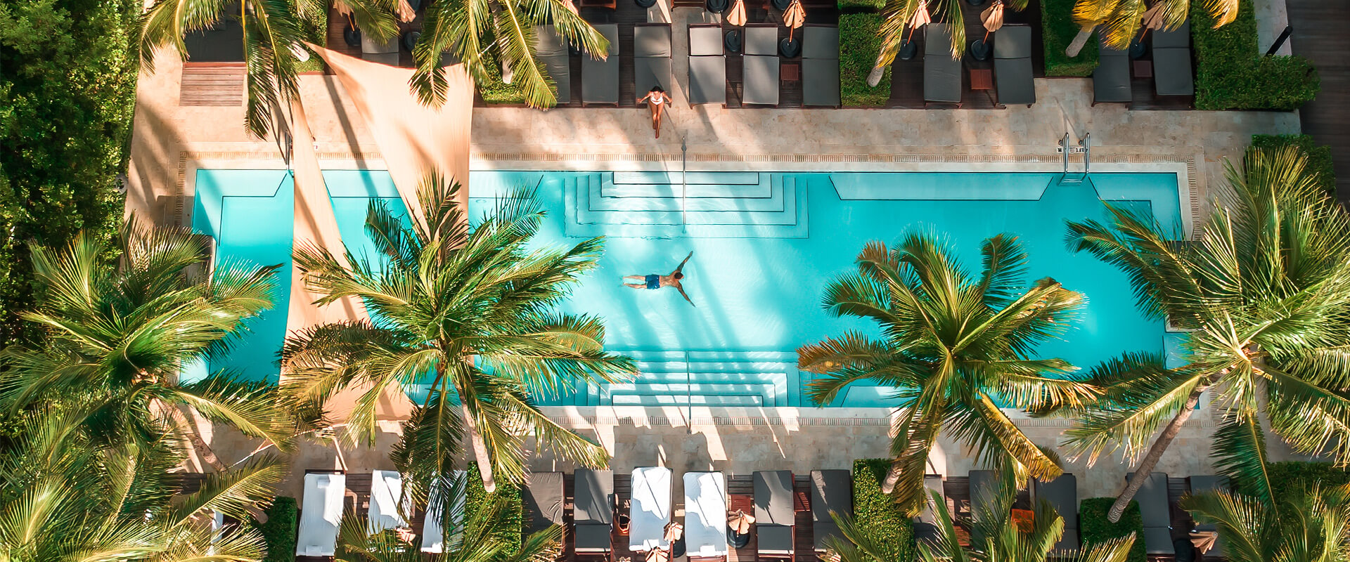 drone shot of a person swimming in a large pool that is surrounded by tall green palm trees