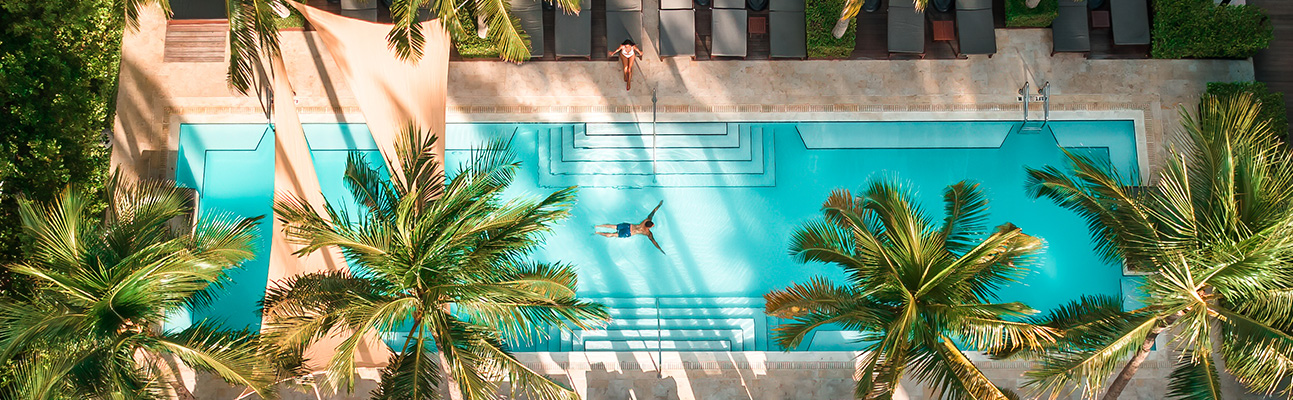 aerial view of a man swimming in a pool surrounded by palms