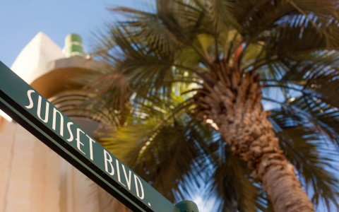 Sunset boulevard sign with a palm in the background