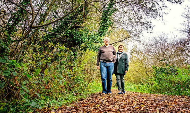 Shire Homepage Seasons Fall