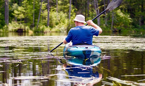Shire ThingsToDo Sports