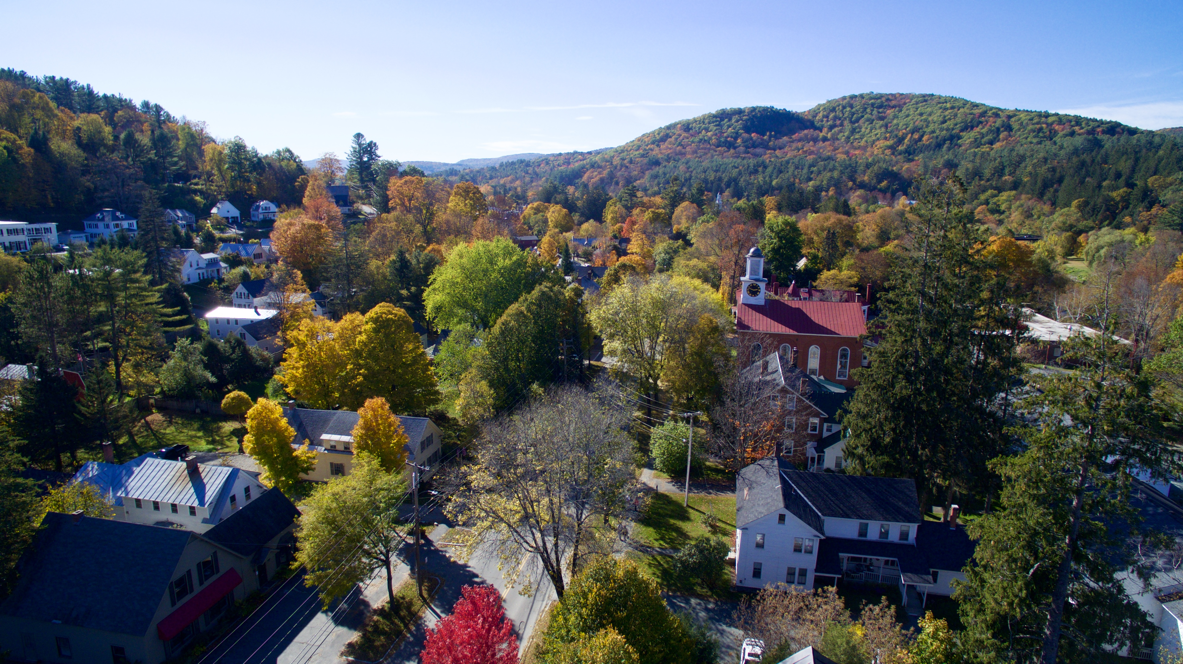 fall leaves on mountain