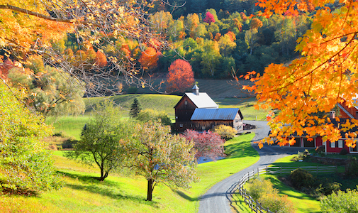 woodstock in the fall