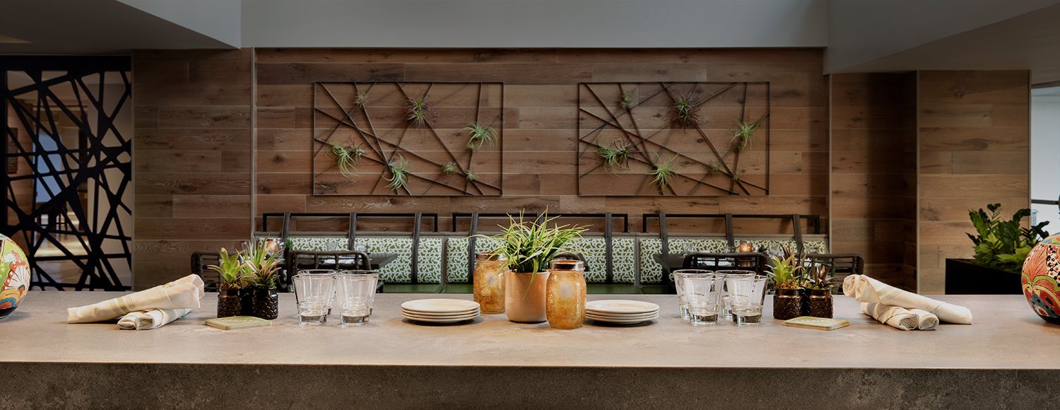 Long table set with plates for meal