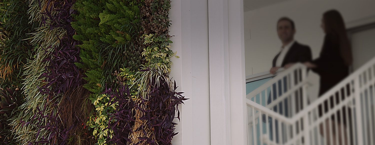 Focus on greenery on wall next to staircase