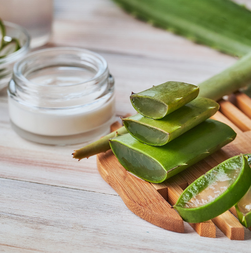 view of some aloe vera pieces