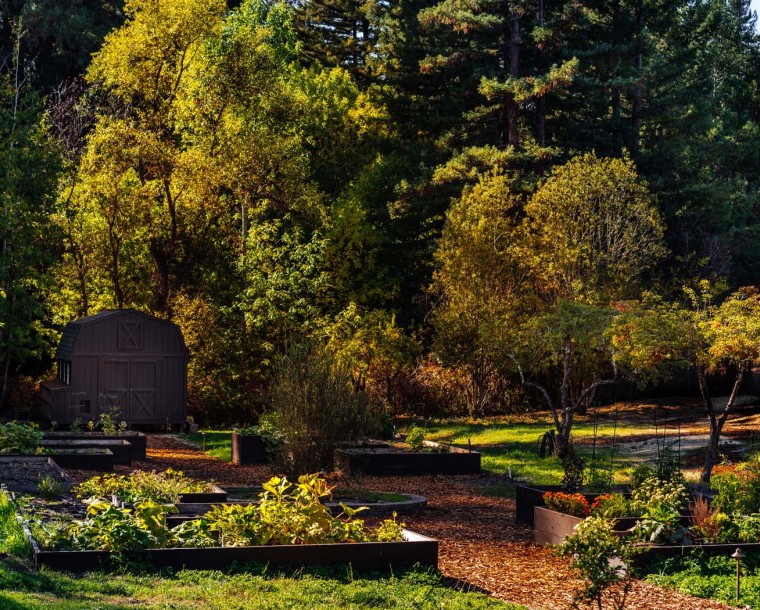 garden area with grass and trees in background