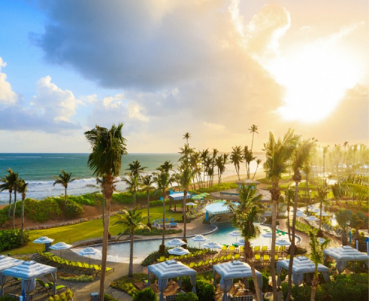 hotel pool area surrounded by palm trees