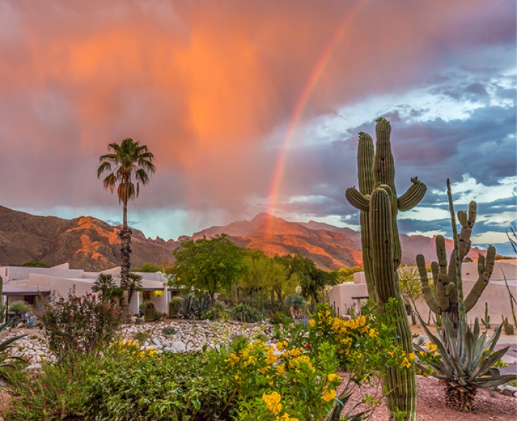exterior shot of the property with cactuses and a rainbow