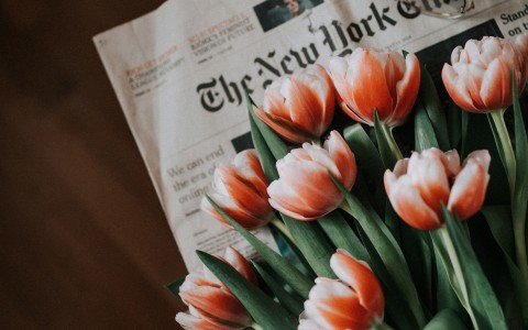 orange and white tulips laying on the new york times newspaper 