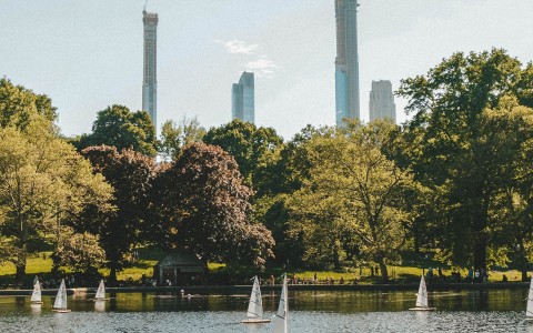 sailboats in the water with trees and buildings in the background 