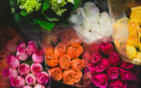 bouquets of roses in many colors 