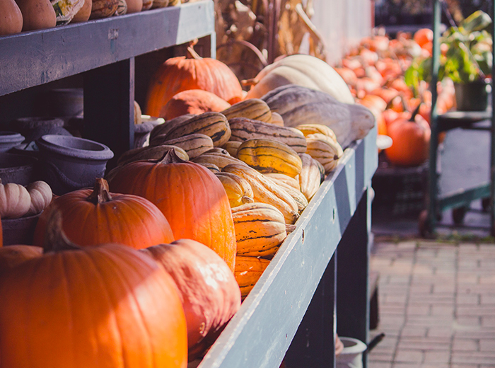 pumpkins
