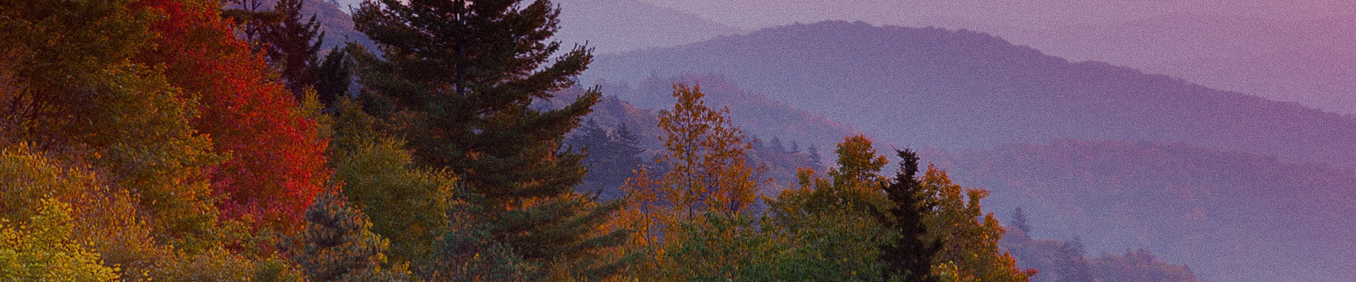 waynesvilesinn privacypolicy header