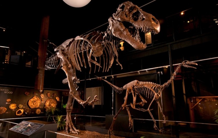 Summer of Museums