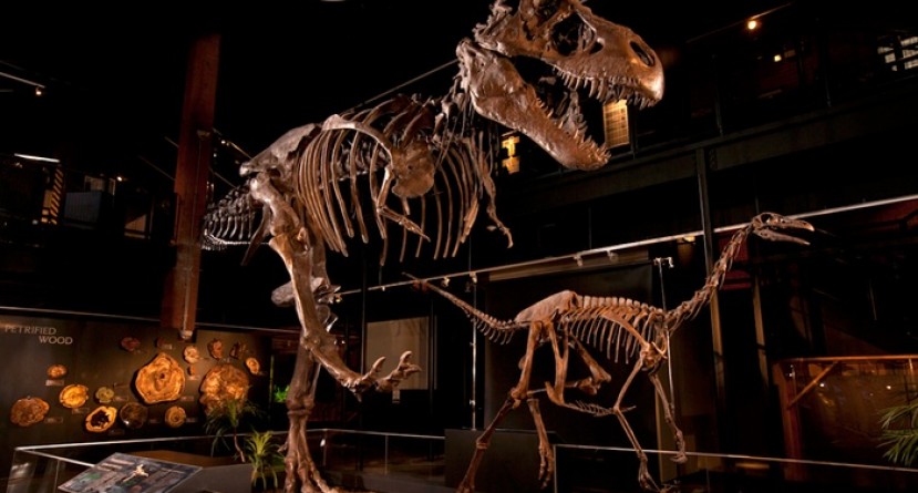 Summer of Museums