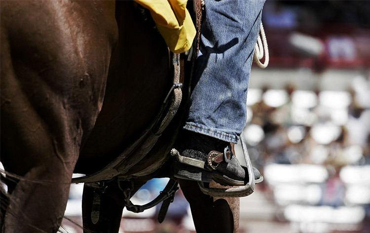 Whitehall rodeo
