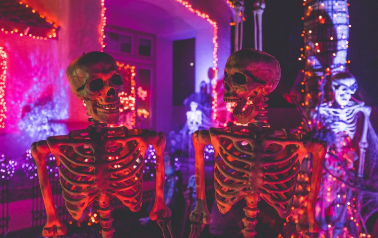 Halloween Fun at the Houston Museum of Natural Science