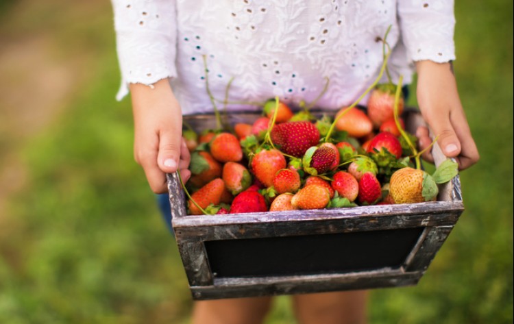 Strawberry Fields Forever